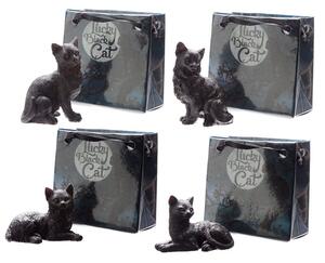 Čierna mačka pre šťastie v darčekovej minitaštičke Číslo: 4