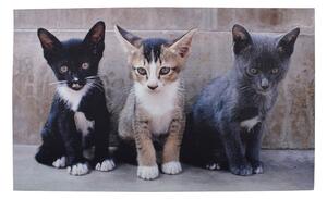 Koberček / rohožka s 3 mačkami