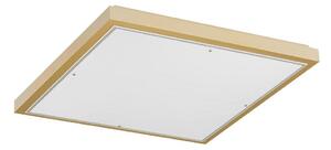 Argon 7167 - Stropné svietidlo CARLSON 2xE27/15W/230V 29x29 cm zlatá