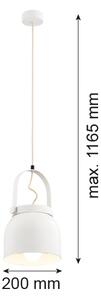 Argon 8280 - Luster na lanku LOGAN 1xE27/15W/230V pr. 20 cm biela