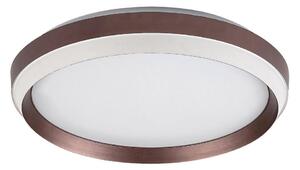 Rabalux 71159 - LED stropné svietidlo FONTANA LED/24W/230V 3000K