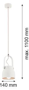 Argon 8290 - Luster na lanku LOGAN 1xE27/15W/230V pr. 14 cm biela