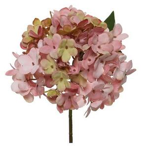 HORTENZIA 35 cm - Kvety & kvetináče