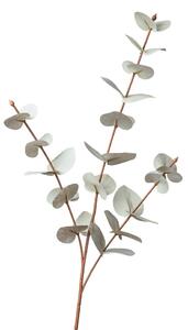 DEKORAČNÁ VETVIČKA eukalyptus 68 cm - Kvetinové dekorácie