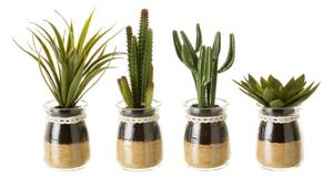 Umelé rastliny v súprave 4 ks (výška 18 cm) Cactus – Casa Selección