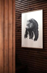 Teemu Järvi Plagát s motívom medveďa Gentle bear 50x70
