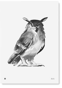 Teemu Järvi Plagát s motívom sovy Eagle Owl 50x70