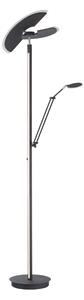 STOJACIA LED LAMPA, 87/44/202 cm - Interiérové svietidlá