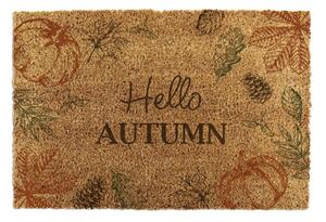 Rohožka z kokosového vlákna 40x60 cm Hello Autumn – Artsy Doormats