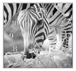 Nástenné hodiny zebra 30x30cm I - plexi