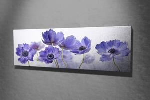 Wallity Obraz na plátne Violet beauty PC028 30x80 cm
