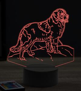Beling 3D lampa, Novofunlandský pes, 7 farebná OR23
