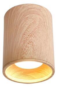 Stropné svietidlo TUBA GU10/15W/230V