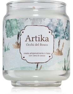 FraLab Artika Occhi Del Bosco vonná sviečka 190 g