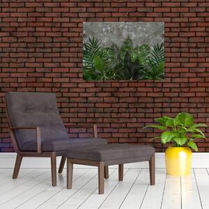 Obraz - Betónový múr s rastlinami (70x50 cm)