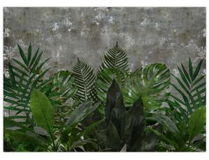 Obraz - Betónový múr s rastlinami (70x50 cm)