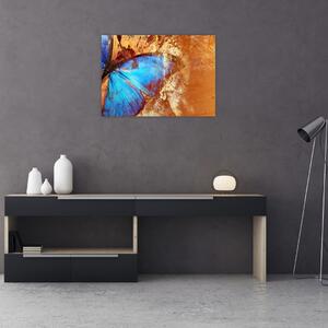 Obraz - Modrý motýľ (70x50 cm)