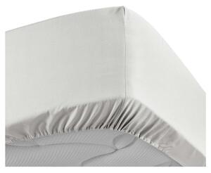 Biela napínacia plachta z bavlneného perkálu 160x200 cm Percaline – douceur d'intérieur