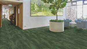 FORBO Flotex Advance Latitude Cypress S202003 - 2 bm