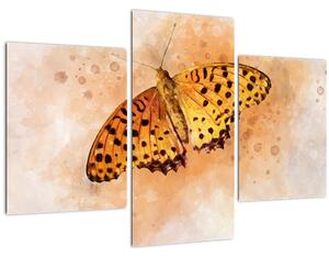 Obraz - Oranžový motýľ, aquarel (90x60 cm)