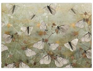 Obraz - Vintage motýle (70x50 cm)