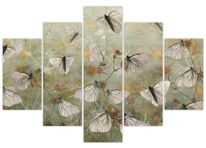 Obraz - Vintage motýle (150x105 cm)