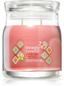 Yankee Candle Capri Glow vonná sviečka 368 g