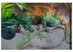 Obraz - Chameleon (90x60 cm)