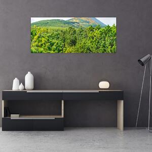 Obraz - Babi Hora, Poľsko (120x50 cm)