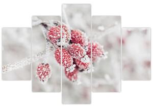 Obraz - Zamrznuté plody (150x105 cm)