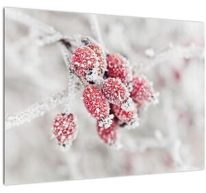Sklenený obraz - Zamrznuté plody (70x50 cm)