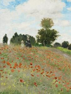 Obrazová reprodukcia Poppies, Claude Monet