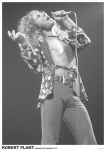 Plagát, Obraz - Led Zeppelin - Robert Plant March 1975 (colour)