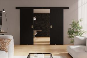 Posuvné dvere WERDI DUO | 132 cm Farba: Čierna