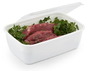 Plastové krabičky do mrazáku, Rotho FREEZE, bílá, 1 x 3,7l (30x20x9)