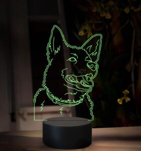 Beling, 3D lampa s fotkou, 16 farebná, VF14