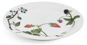 Porcelánový tanier Hammershoi Summer Berries 22 cm