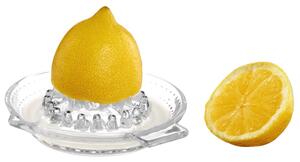 SQUEEZE Lis na citrusové plody