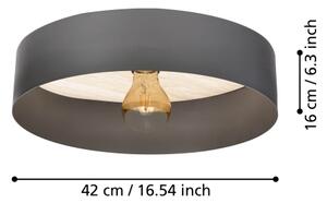Eglo 901745 - Stropné svietidlo DUAIA 1xE27/40W/230V šedá