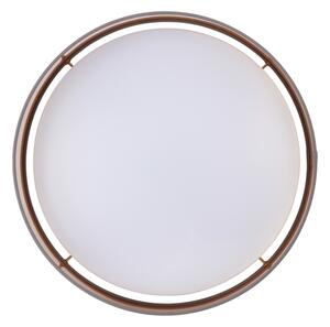 Eglo 99542 - LED Stropné svietidlo MASERLO LED/24W/230V