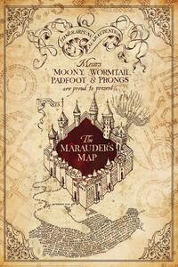 Plagát, Obraz - Harry Potter - Marauders Map, (80 x 120 cm)