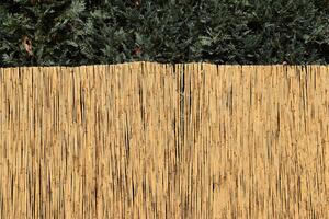 Rákosová zástena na plot Výška plota: 120 cm, Dĺžka plota: 600 cm