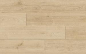 Classen Tradition Aqua Protect 4V 65120 DUB PISTOIA