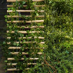 Závesná podpera pre popínavé rastliny - rebrík, 50 x 200 cm