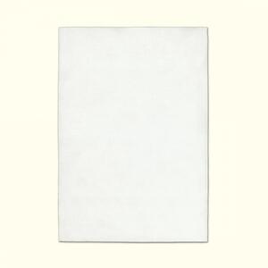 Koberec BASIC WHITE 160x230 cm