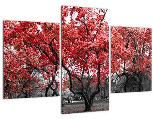 Obraz - Červené stromy, Central Park, New York (90x60 cm)