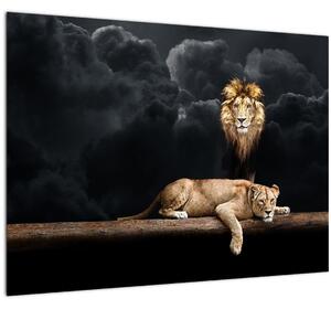 Sklenený obraz - Lev a levice v oblakoch (70x50 cm)