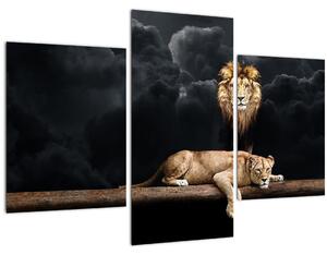 Obraz - Lev a levice v oblakoch (90x60 cm)