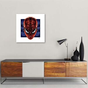Obraz na plátne Spider-Man - Rubiant Rozmery: 30 x 30 cm