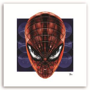 Obraz na plátne Spider-Man - Rubiant Rozmery: 30 x 30 cm